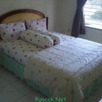 Sewa Villa 5 Kamar Di Puncak, Villa Minimalis