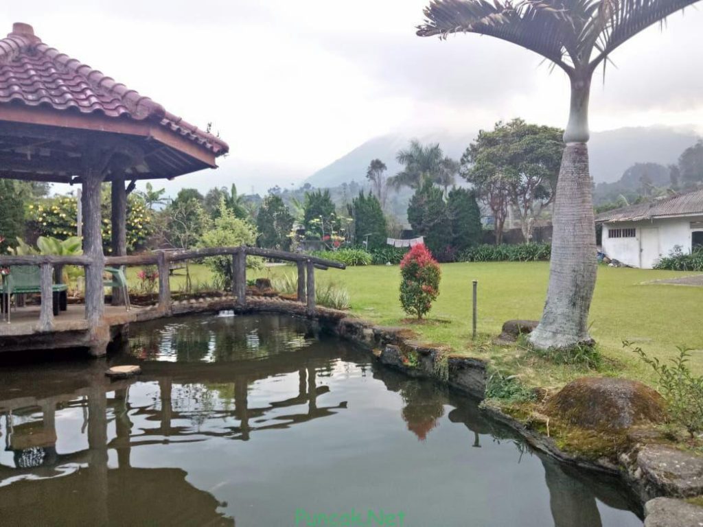 Villa Ab 4 Kamar Sewa Villa Di Puncak View Bagus Fasilitas Kolam