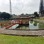 Villa SRJ Puncak Kolam renang pribadi