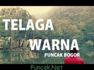 Harga Tiket Masuk Telaga Warna Puncak Bogor