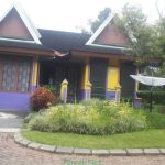 villa di kota bunga ada kolam renang