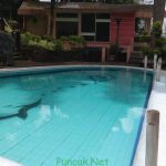 Villa Ciloto Puncak Kolam Renang Pribadi