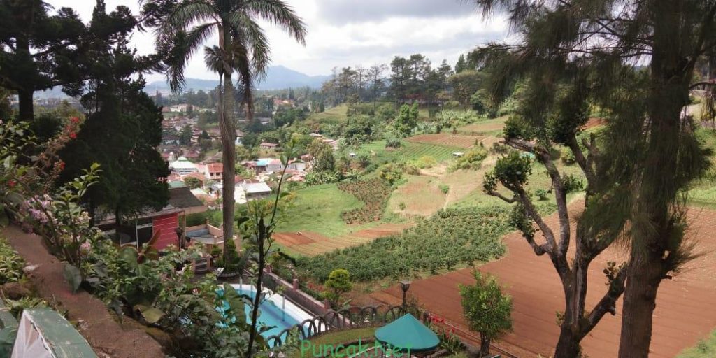 Villa Ciloto Puncak Kolam Renang Pribadi