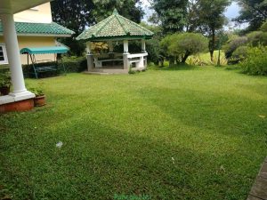 Villa Puncak Kapasitas 20 s/d 50 Orang