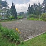 villa puncak fasilitas kolam renang, karaoke, billiard dan aula